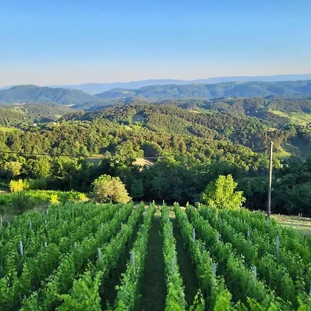 Vikend Hisa Vrhe Senovo