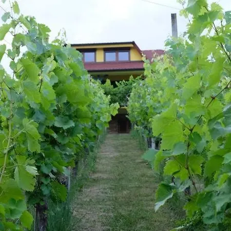 Vikend Hisa Vrhe Senovo