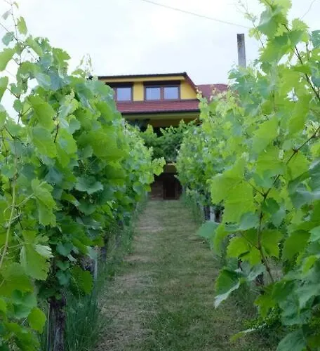 Vikend Hiša Vrhe Senovo